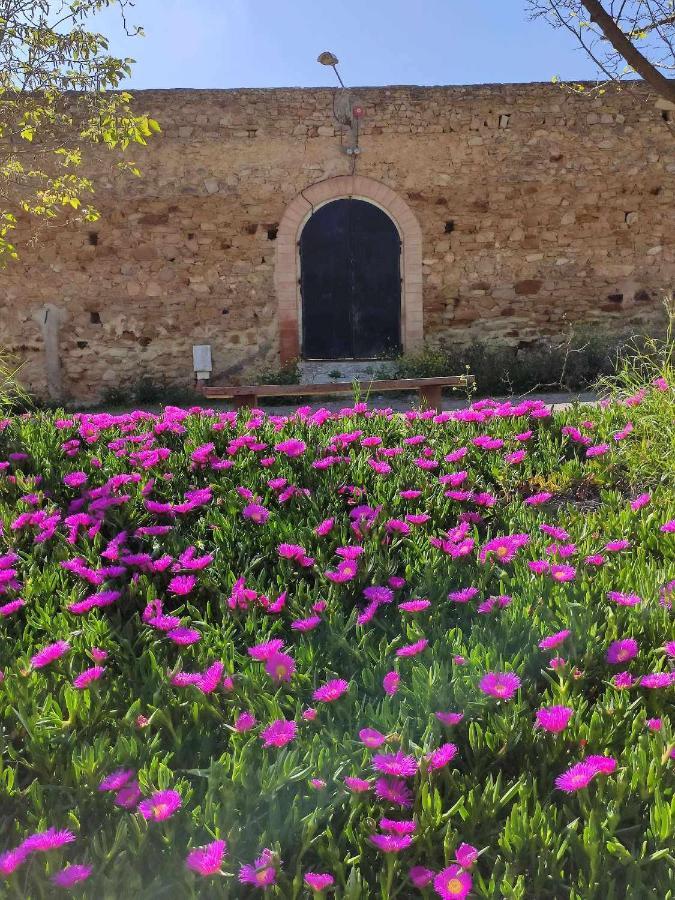 Finca Las Rosas De Santa Ana Villamartín Buitenkant foto