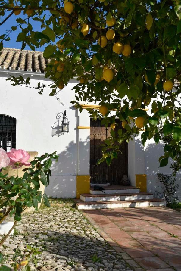 Finca Las Rosas De Santa Ana Villamartín Buitenkant foto